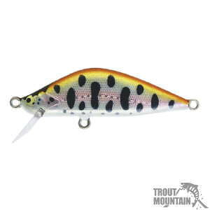 y[zCgENtgBOWIE42/{EC42Sy42mm/2.8gz