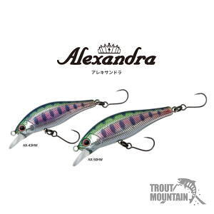 y[ziJ[jy݌ɌփZ[zp[XALTh50HWy50mm/4.5gz