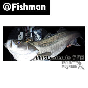 フィッシュマン BRIST comodo 7.5H (ロッド・釣竿) 価格比較 - 価格.com