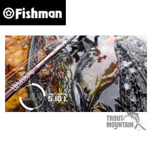 楽天市場】【送料無料】【お取り寄せ】Fishman フィッシュマン【 BC4