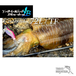 �y���[�z�y���������z���}�K�u�����N�X�J���X�^�yCalista 72L / TF�z�y�G�M���O���b�h�z�y��^��z�ցz�i4571584102535�j