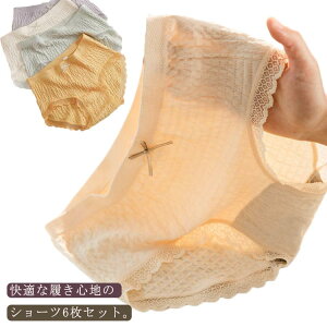 6Zbg V[c Vv { XgXt[ A_[EFA n K fB[X  [X  킢 WjA R 傫TCY [ Lт  fB[X