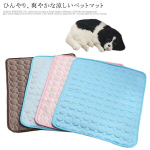 p }bg ybgxbh L MǑ΍ ~߃}bg Lp bV yz n  ʋC  ΍ f }bg Ђ }bg ybgpi ^ 