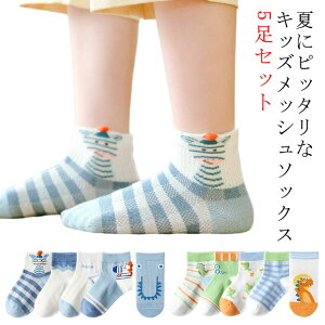 yzC 킢 5Zbg Iׂ19^Cv  bV \bNX j̎q ct ̎q  LbY ʋC JWA L WjA q xr[  i` ʉ ʊw 