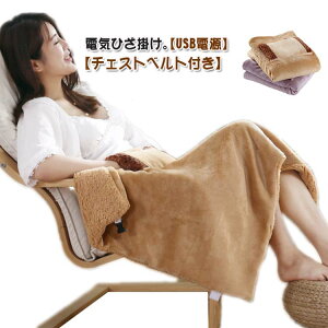 60×80cm コンパクト ハンドポケット あったか 持ち運び ハンドウォーマー 秋 冬 肩掛け ふわふわ 電気ブランケット もこもこ 電気ひざ掛け USB 電気毛布 腰掛け 洗える 丸洗い ぽかぽか 節電 コ