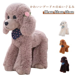 蕨 ʂ YQ 킢 v[g  v[h   v[h Mtg t@[XggC q a j Mtg l炵 V