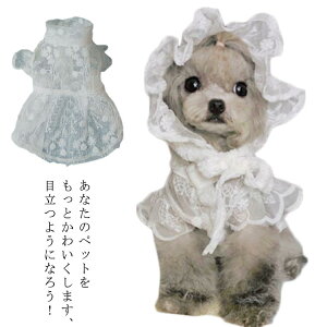  [X s[X ^  hX 킢 t [X ̎q  p[eB[ EFfBOhX [L[ _bNXth ` tH[} gCv[h }`[Y m