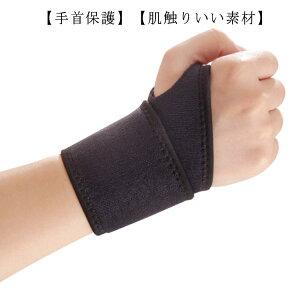  T|[^[ T|[^[ 񂵂傤 bv^Cv F≊  T|[^[ F≊T|[^[ XguCX F≊ pT|[^[ ew St 