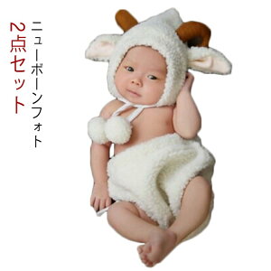 j[{[tHg ACe   N QA[g Bep Ԃ ю  RX`[ LO ʐ^ 2_Zbg tHg nhCh Mtg j xr[