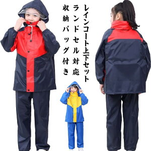   Zp[g CX[c CR[g LbY hZΉ CR[g w Jbp w ㉺Zbg H CX[c ʊw ] qp C|` C