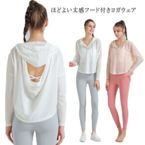 V[g   t[ht  g[jO tBbglX z y UV΍ yzKEFA _X TVc O΍  ̌^Jo[ jOEFA 