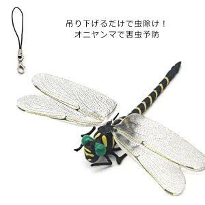 Ij} 12cm tBMA 悯  ɂ L[z_[ x Ƃ g{ ͌^   Xgbv ݂艺 AEghA O Lv ނ ƒ؉ X|[c 蕨 M