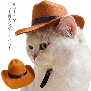 JE{[C nbg ybgp Xq p Lp eKnbg tFg nbg Xq ˂ Xq ΍L ybgnbg EGX^nbg  L RXv ʐ^Be EGX^ 