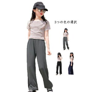 Chpc ̎q Opc LbY  {gX Y{ pc [EFA q  EGXgS  Vv n z ʋC  ₷ AEgh