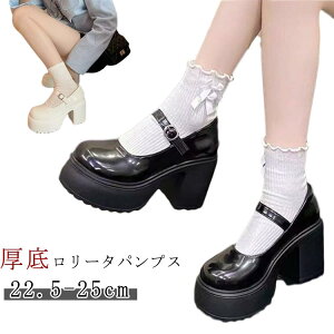 [^pvX q[ C pvX ₷  ɂ fB[X EhgD Xgbv pvX  ubN