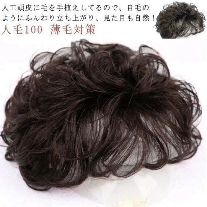 楽天市場】人毛100 薄毛対策 部分ウィッグ 白髪隠し ヘアピース  