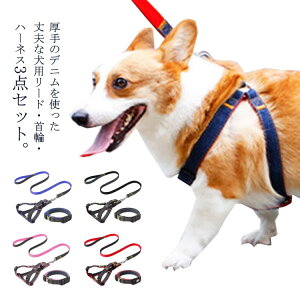 p[h n[lX  3_Zbg ybgp p fj n[lX[h ^b` n[lX[hZbg    Ck ^ ^ ^  hbO  Ckp [h 