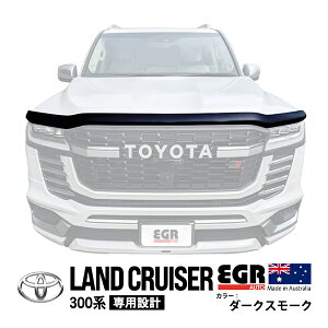 yEGRKiz g^ N300 hN[U[ 300n FJA300W VJA300W ߘa3N8`s oOK[h {lbgveN^[ {lbgK[h t[hfBtN^[ fBtN^[ t[h