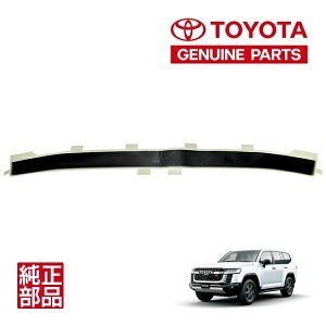 Gg[ P10{ yg^z N300 hN[U[ 300n FJA300W VJA300W ߘa3N8`s GR SPORT obNhA AQ[g e[Q[g XgCv 75945-60030