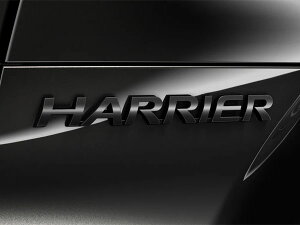 yg^z 80n nA[nCubh AXUH80 AXUH85 Z Night Shade iCgVF[h HARRIERS AGu obNhAGu ubN 75442-48230