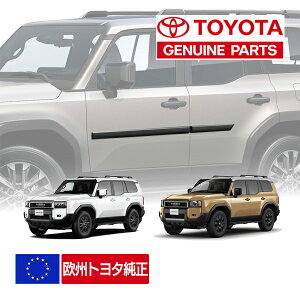 yBg^z N250 hN[U[250 GDJ250W TRJ250W ߘa6N4`s ubN hATCh[ veN^[ K[jbV hA[ {fB[fBO PW17060000