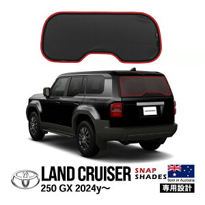 P10{ Ggv ySNAPSHADESKiz g^ N250 hN[U[250 GXO[h GDJ250W ߘa6N4`s A TVF[h bVTVF[h 悯 XibvVF[h