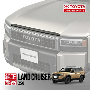 yg^z N250 hN[U[250 TRJ250W GDJ250W ߘa6N4`s VXt@[XgGfBV ZX {lbgt[h[ [fBO K[jbV ubN 75770-60070