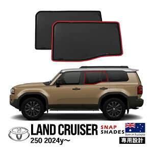 ySNAPSHADESKiz g^ N250 hN[U[250 TRJ250W GDJ250W ߘa6N4`s TCh TVF[h 2 bVTVF[h 悯 XibvVF[h