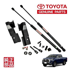 yg^z nCbNX GUN125 O  29N9`s XO[h ZO[h Black Rally Edition ubN[GfBV GR SPORT GRS GR-S GRX|[c t {lbg_p[ tg