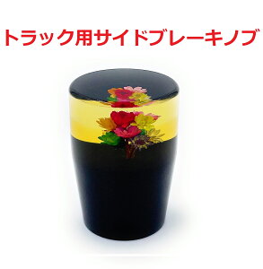 VIyOf[VԃTChu[Lmu@gbNpzgȃtbg^CvIiCG[j