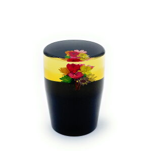 yOf[VԃVtgmu@60mmzIVȃtbg^CviCG[j