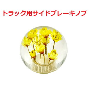 yی^ԃTChu[Lmu54mm@gbNpz肰ȂIV[ėVׂiCG[j