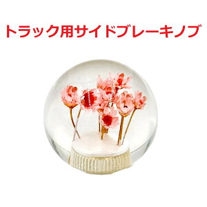 yی^ԃTChu[Lmu54mm@gbNpz肰ȂIV[ėVׂisNj