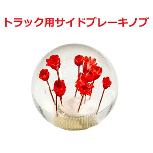 yی^ԃTChu[Lmu54mm@gbNpz肰ȂIV[ėVׂibhj