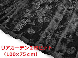 y؎RJ[e@gbNpz[Yiuȃ[oPbgniubNj