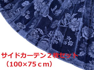 y؎RTChJ[e@gbNpz[Yiuȃ``oPbgnilCr[j