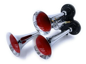 dou̗pIygvL[z[300mm 24VgbNpz2̃bp𓯎ɖ炵悤Ȍ݂̂鉹͕K