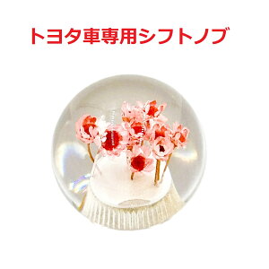 yی^ԃVtgmu54mm@8×1.25@g^Ԑpzĉی^ԎdlisNj