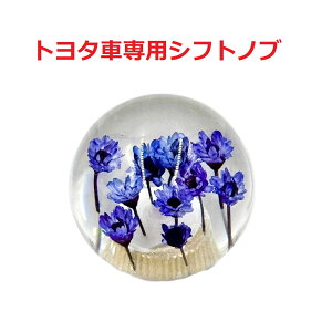 yی^ԃVtgmu54mm@8×1.25@g^Ԑpzĉی^Ԏdliu[j