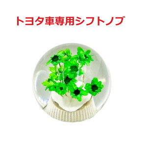 yی^ԃVtgmu54mm@8×1.25@g^Ԑpzĉی^ԎdliO[j