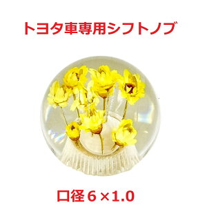 yی^ԃVtgmu54mm@6×1.0@g^Ԑpzĉی^ԎdliCG[j