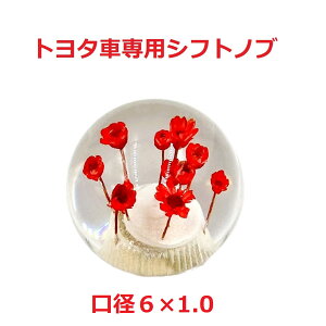 yی^ԃVtgmu54mm@6×1.0@g^Ԑpzĉی^Ԏdlibhj