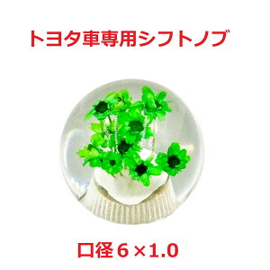 yی^ԃVtgmu54mm@6×1.0@g^Ԑpzĉی^ԎdliO[j