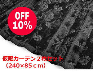 y؎RJ[e@gbNpz[Yiuȃ[oPbgniubNj