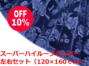 y؎RX[p[nC[tZ^[J[e160@gbNpz[Yiuȃ[oPbgnilCr[ Zj