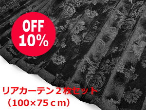 y؎RJ[e@gbNpz[Yiuȃ[oPbgniubNj