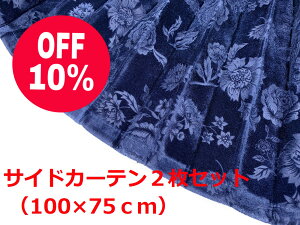 y؎RTChJ[e@gbNpz[Yiuȃ``oPbgnilCr[j