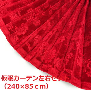 �y���؎R�����J�[�e���@�g���b�N�p�z���[�Y�i�u���ȃ��[�������o�������P�b�g���n�i���b�h�j