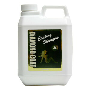 DIAMOND COAT _ChR[g 2Ll֗p  pi  eiX PA bNX C CƂ