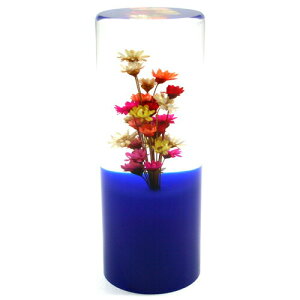  Vtgmu ~bNX }`^Cv BW gbN Vtgmu mu lC   g  t[ 킢  